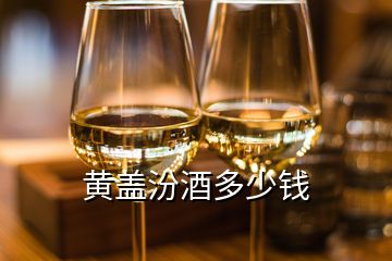 黃蓋汾酒多少錢(qián)