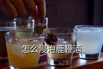 怎么浸泡鹿鞭酒