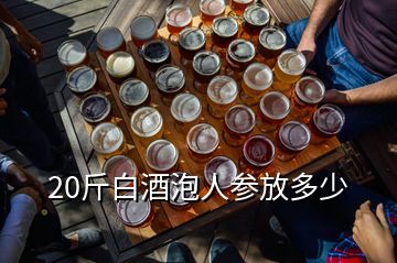 20斤白酒泡人參放多少