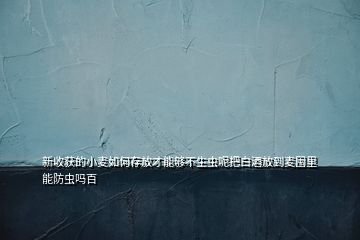 新收獲的小麥如何存放才能夠不生蟲呢把白酒放到麥囤里能防蟲嗎百