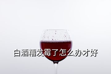 白酒糟發(fā)霉了怎么辦才好