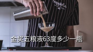 金獎五糧液63度多少一瓶