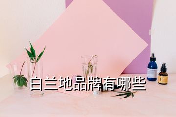 白蘭地品牌有哪些