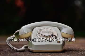 奔富penfolds紅酒 多少錢 不懂的不要來(lái)