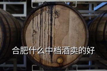 合肥什么中檔酒賣的好