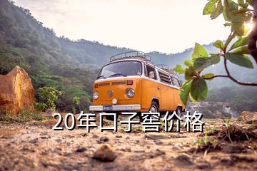 20年口子窖價格