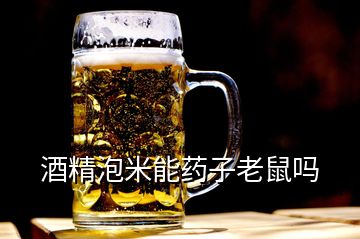 酒精泡米能藥子老鼠嗎