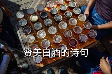 贊美白酒的詩句