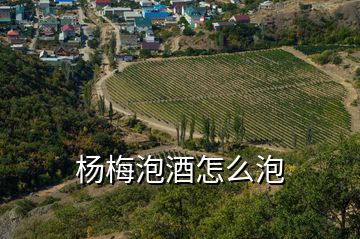 楊梅泡酒怎么泡