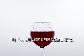 用什么方法可以最簡易的過濾低度白酒渾濁