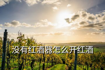 沒(méi)有紅酒器怎么開(kāi)紅酒