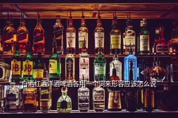 白酒紅酒洋酒啤酒各用一個詞來形容應(yīng)該怎么說