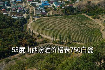 53度山西汾酒價(jià)格表750白瓷