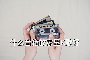 什么音箱放家里K歌好