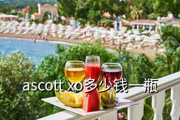 ascott xo多少錢一瓶