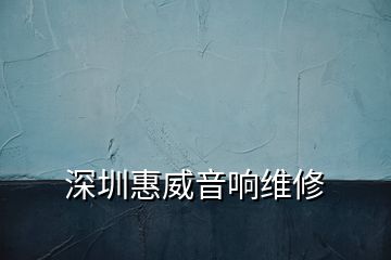 深圳惠威音響維修