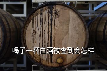 喝了一杯白酒被查到會怎樣