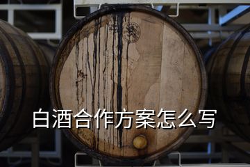 白酒合作方案怎么寫