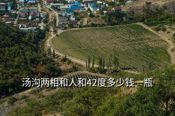 湯溝兩相和人和42度多少錢一瓶