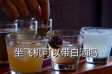 坐飛機可以帶白酒嗎