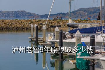 瀘州老窖9年原釀52多少錢(qián)