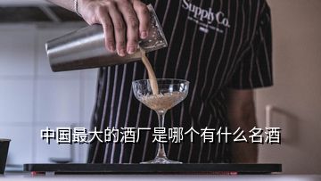 中國最大的酒廠是哪個有什么名酒