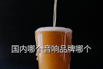 國(guó)內(nèi)哪個(gè)音響品牌哪個(gè)