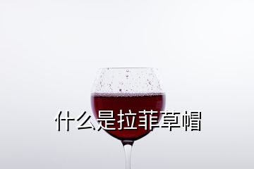 什么是拉菲草帽