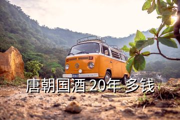 唐朝國(guó)酒 20年 多錢