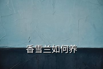 香雪蘭如何養(yǎng)