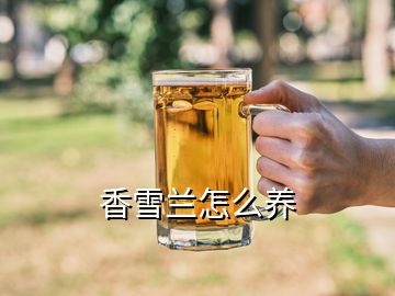 香雪蘭怎么養(yǎng)