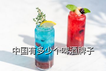 中國有多少個啤酒牌子