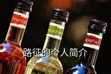 路征的個(gè)人簡(jiǎn)介