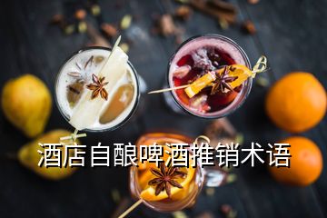 酒店自釀啤酒推銷術(shù)語