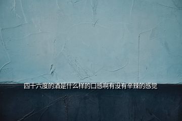 四十六度的酒是什么樣的口感啊有沒(méi)有辛辣的感覺(jué)