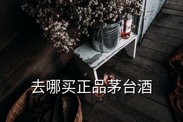 去哪買正品茅臺(tái)酒