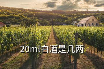 20ml白酒是幾兩