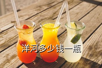 洋河多少錢(qián)一瓶