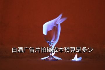 白酒廣告片拍攝成本預(yù)算是多少