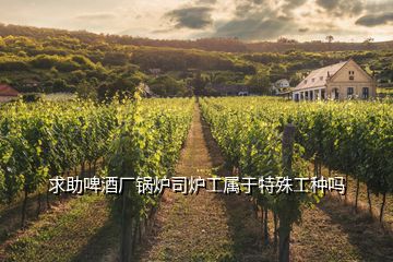 求助啤酒廠鍋爐司爐工屬于特殊工種嗎