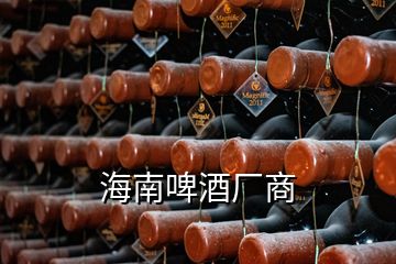 海南啤酒廠商