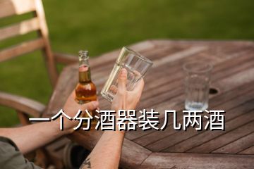 一個(gè)分酒器裝幾兩酒