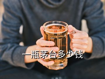 一瓶茅臺(tái)多少錢