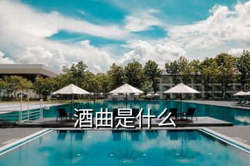 酒曲是什么