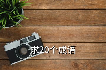 求20個(gè)成語(yǔ)