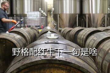 野格配紅牛下一句是啥