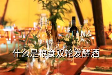 什么是糧食雙輪發(fā)酵酒