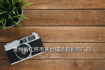 貴州省仁懷市茅臺(tái)鎮(zhèn)還有別的廠嗎