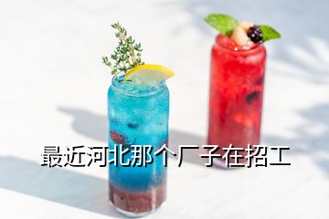 最近河北那個(gè)廠子在招工