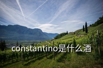 constantino是什么酒